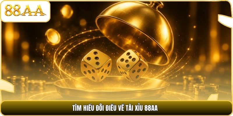 Tìm hiểu đôi điều về Tài Xỉu 88AA